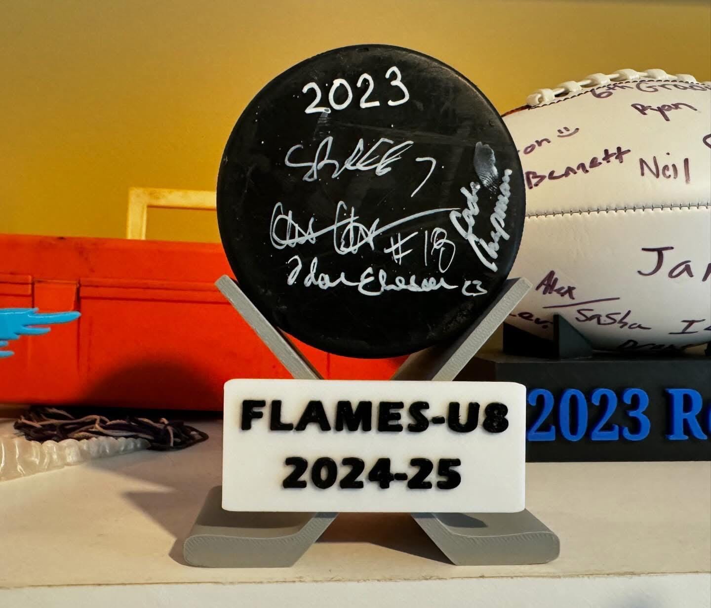 Hockey Puck Display
